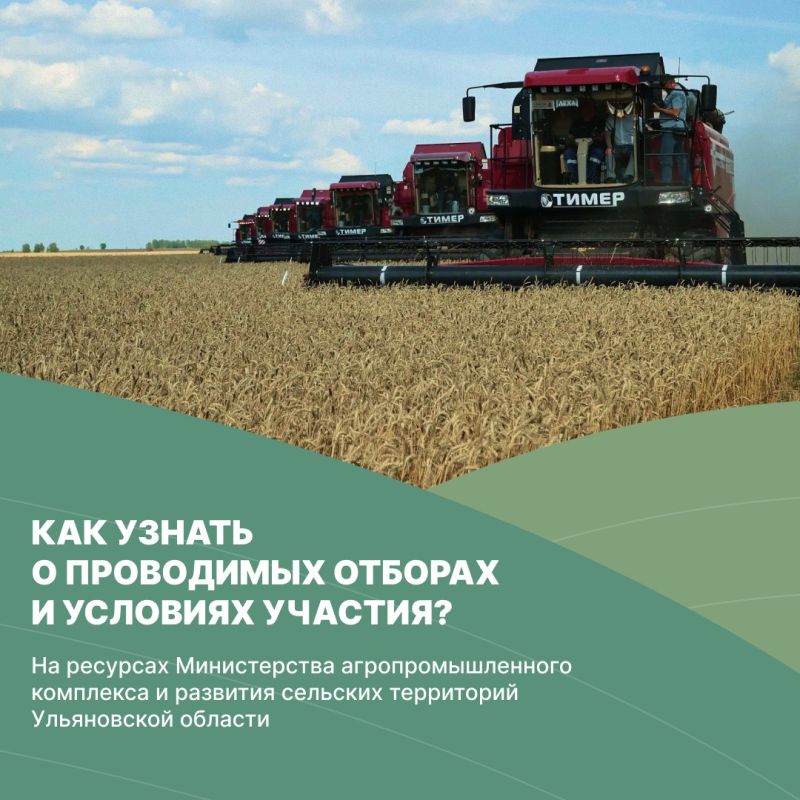 Меры поддержки аграриев в Ульяновской области Меры поддержки аграриев в Ульяновской области