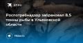 Роспотребнадзор забраковал 8,5 тонны рыбы в Ульяновской области