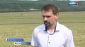 Обмолочено около четверти от плана