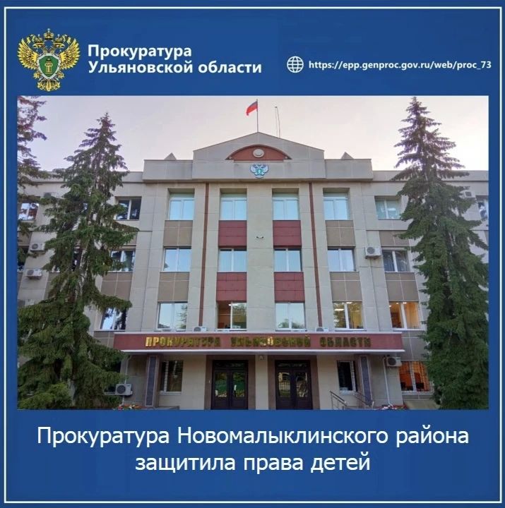 Прокуратура Новомалыклинского района Ульяновской области провела проверку исполнения законодательства о защите прав несовершеннолетних