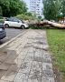 Во дворе дома 18 на Ульяновском проспекте дерево рухнуло на Audi