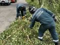 Последствия урагана в Ульяновске устраняют 100 единиц спецтехники и порядка 150 человек личного состава