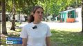 В детском оздоровительном лагере "Светлячок" в Николаевском районе провели православную смену для детей и подростков, организованную Симбирской епархией