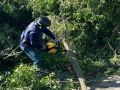 Последствия урагана в Ульяновске устраняют около 150 человек и 100 единиц спецтехники