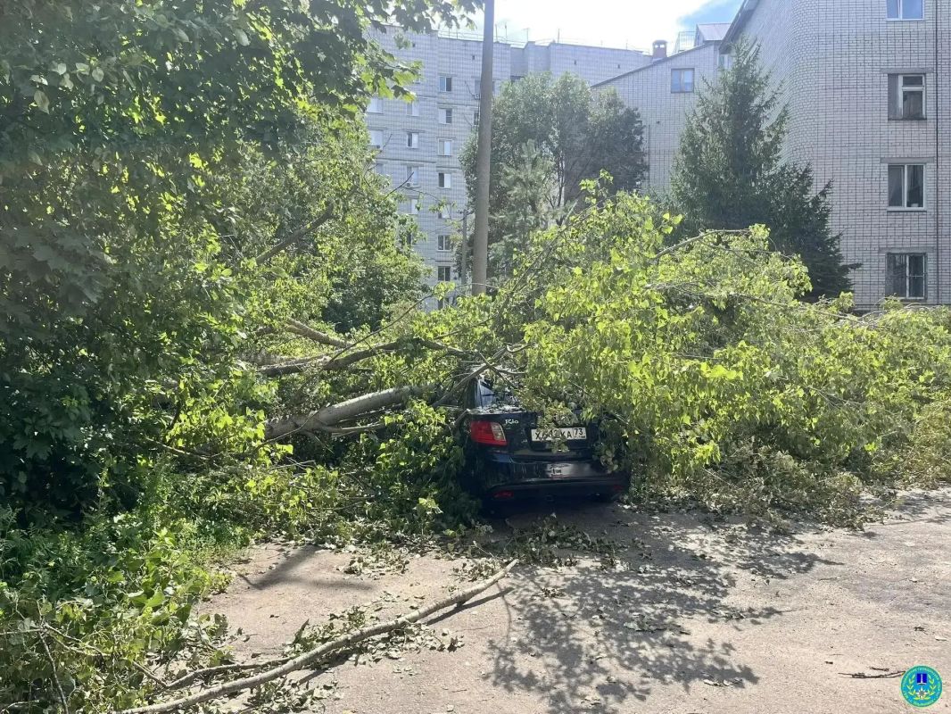 Городские службы продолжают ликвидировать последствия субботнего урагана