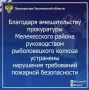 Прокуратура Мелекесского района Ульяновской области провела проверку исполнения законодательства в сфере охраны лесов от пожаров