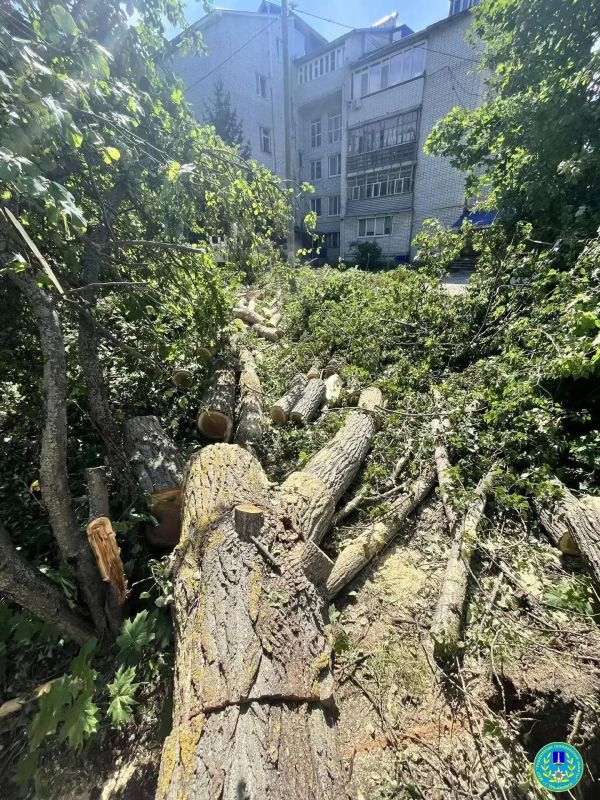 Городские службы продолжают ликвидировать последствия субботнего урагана Городские службы продолжают ликвидировать последствия субботнего урагана