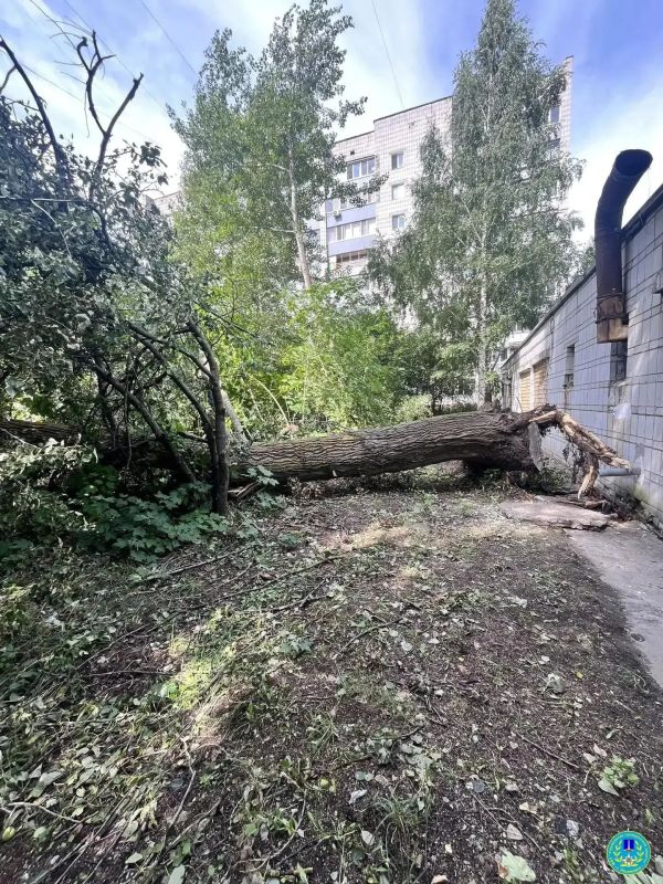 Городские службы продолжают ликвидировать последствия субботнего урагана Городские службы продолжают ликвидировать последствия субботнего урагана