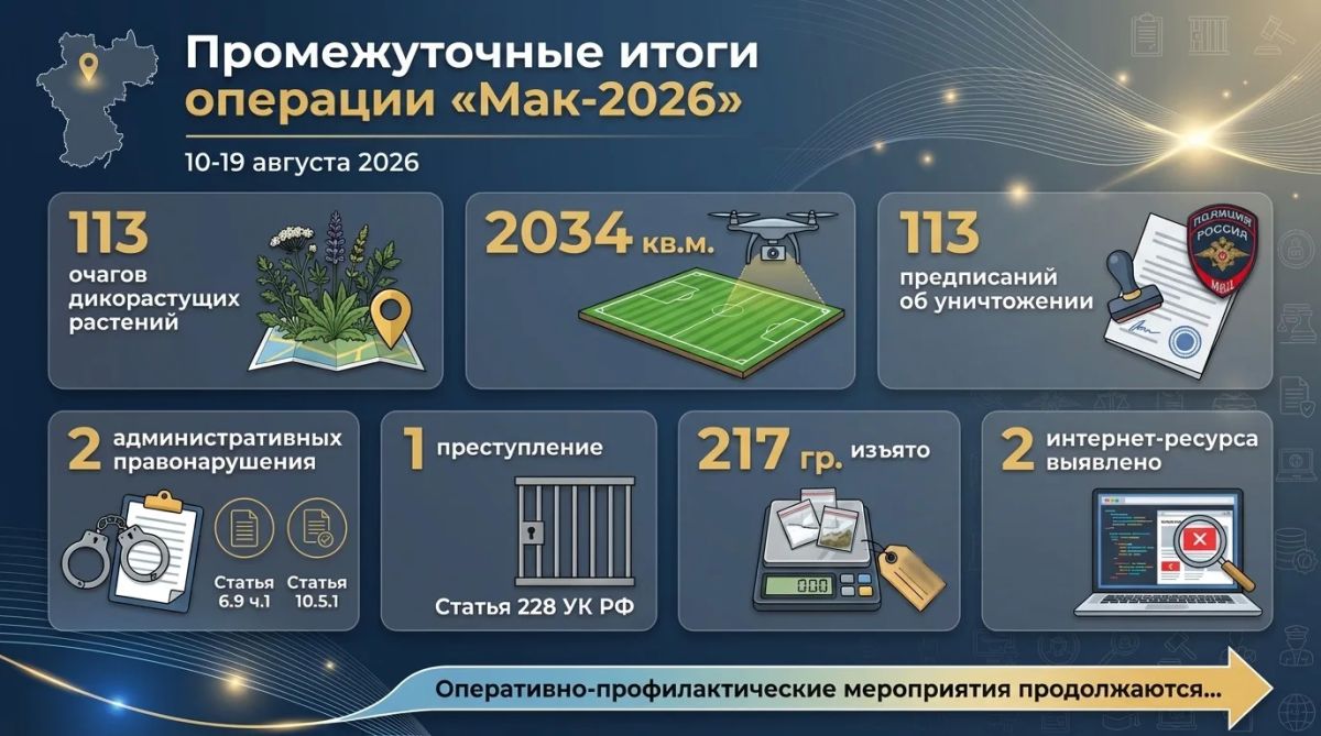 В Ульяновской области подведены промежуточные итоги оперативно-профилактической операции «Мак-2026»