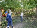 Горзеленхоз успел отработать заявки по поваленным деревьям на 33 адресах