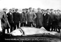 На зависть любителям рыбалки делимся фото уловов 1930-1990-х годов, которые хранятся в Государственном архиве Ульяновской области