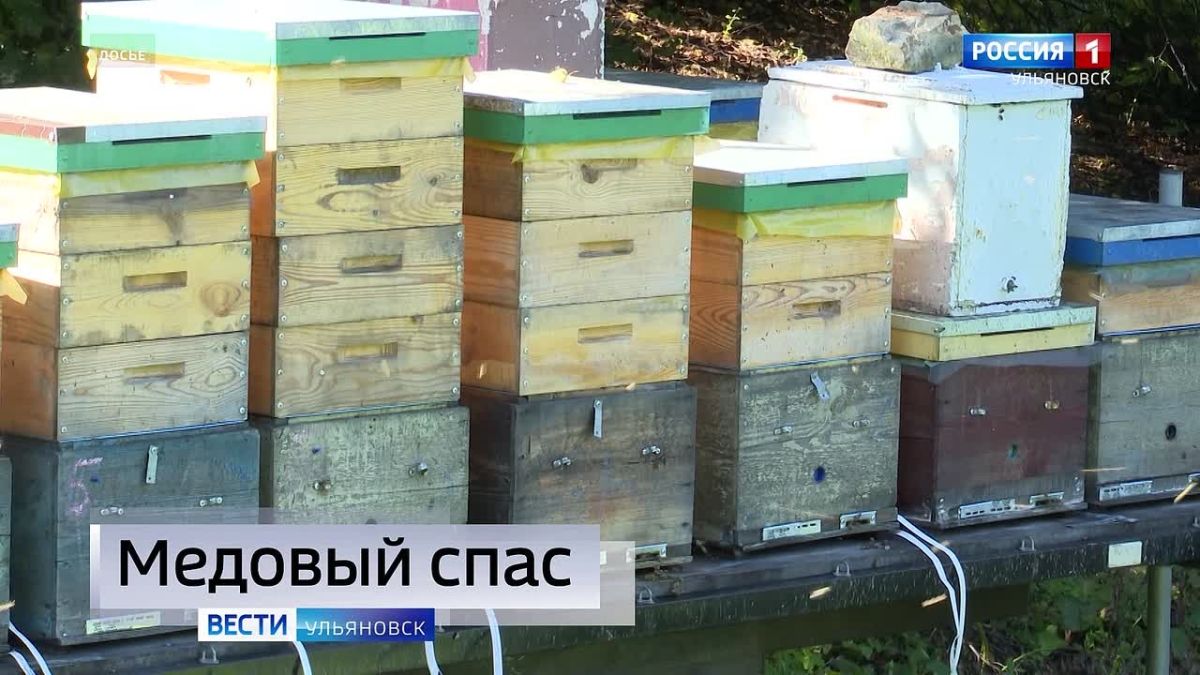 "Утро России" 5:06. - Сегодня у православных верующих начинается Успенский пост - один из самых строгих в году
