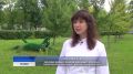 Лихорадка Западного Нила: к чему готовиться ульяновцам?