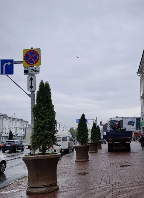 Девять вазонов с туями установили на улице Гончарова Девять вазонов с туями установили на улице Гончарова