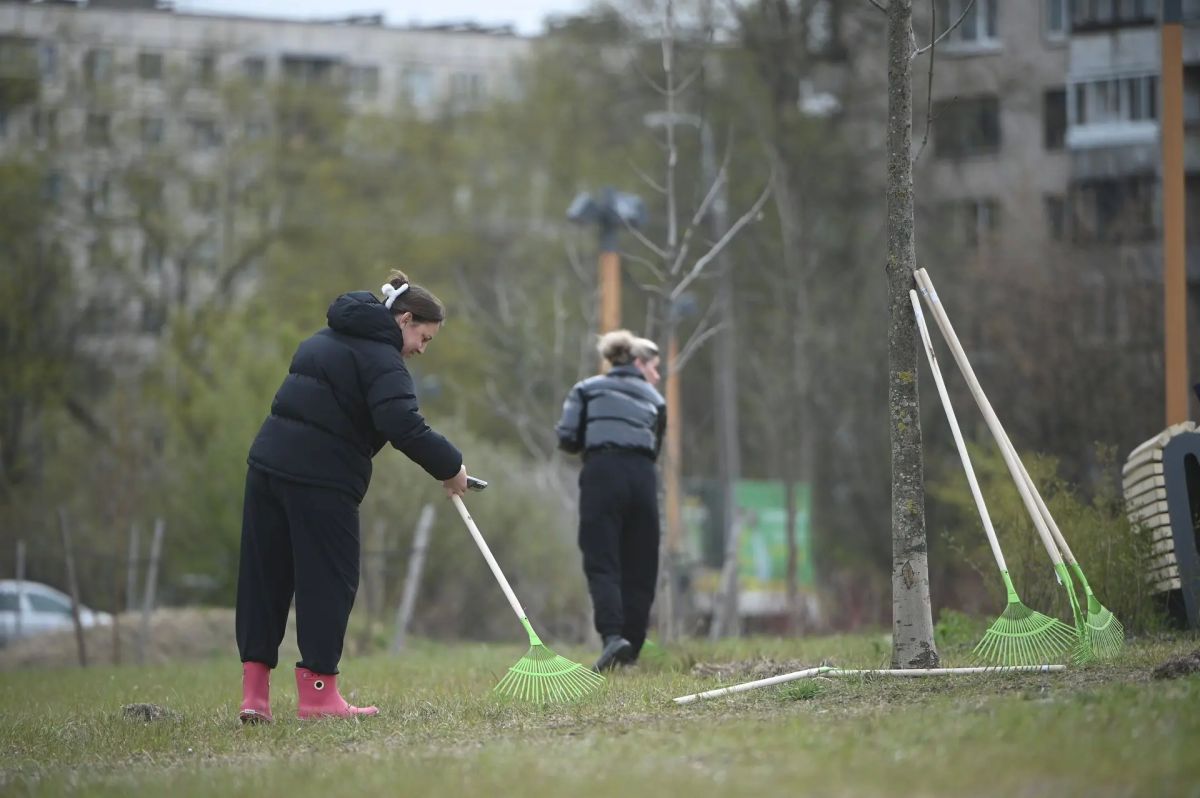 В Ульяновске пройдут общегородские уборки в четверг и пятницу