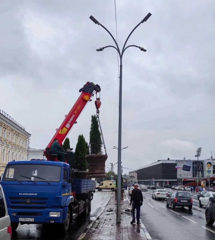 Девять вазонов с туями установили на улице Гончарова Девять вазонов с туями установили на улице Гончарова