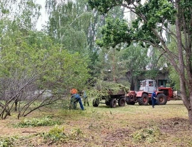 Наша команда - за чистоту и порядок! Наша команда - за чистоту и порядок!
