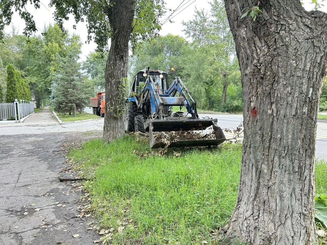 В Заволжском районе сегодня проходит санитарная пятница — общегородская инициатива главы Ульяновска Александра Болдакина В Заволжском районе сегодня проходит санитарная пятница — общегородская инициатива главы Ульяновска Александра Болдакина