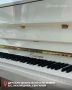 Алексей Русских: Продолжаем оснащать наши детские школы искусств
