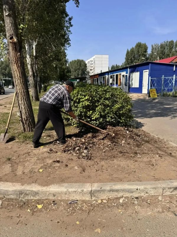 В Заволжском районе сегодня проходит санитарная пятница — общегородская инициатива главы Ульяновска Александра Болдакина В Заволжском районе сегодня проходит санитарная пятница — общегородская инициатива главы Ульяновска Александра Болдакина