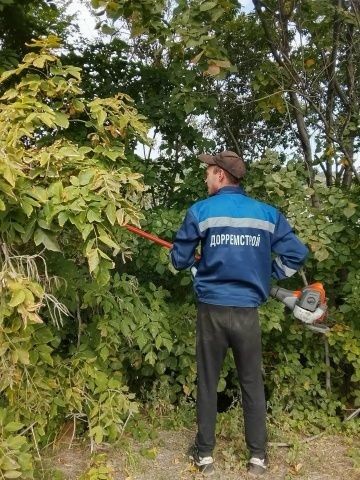 В ульяновских кварталах многодетных семей продолжается обустройство дорог В ульяновских кварталах многодетных семей продолжается обустройство дорог