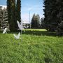 Горзеленхоз просит вернуть на место декоративного журавля