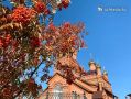 Гитарник, Курчатов трейл, «Компас увлечений»