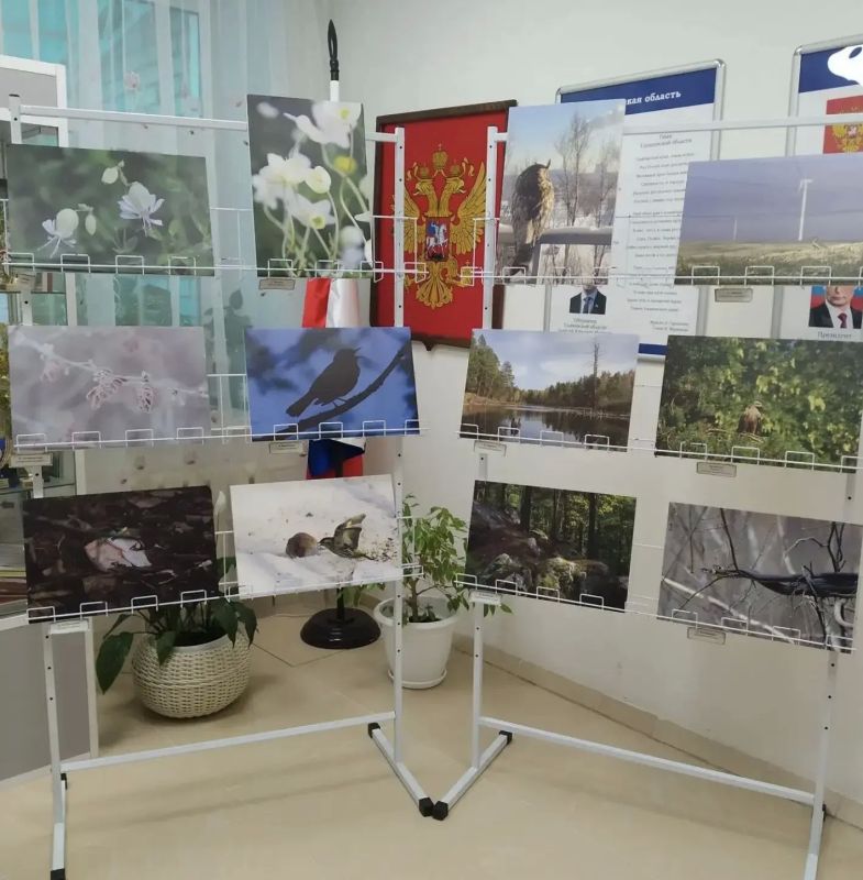 В Ульяновской области набирает обороты проект «Культурное долголетие», направленный на интеграцию культуры в систему здравоохранения и социальной поддержки населения В Ульяновской области набирает обороты проект «Культурное долголетие», направленный на интеграцию культуры в систему здравоохранения и социальной поддержки населения