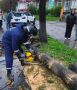 Ульяновские службы устраняют последствия непогоды