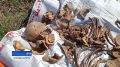 Вахта памяти продолжается