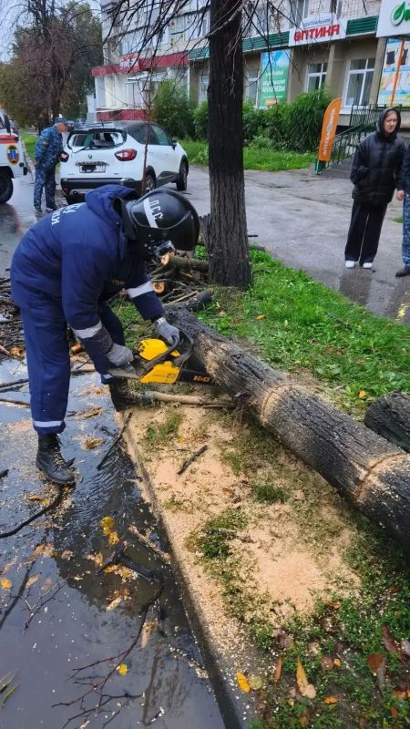 В Ульяновске городские службы устраняют последствия непогоды В Ульяновске городские службы устраняют последствия непогоды