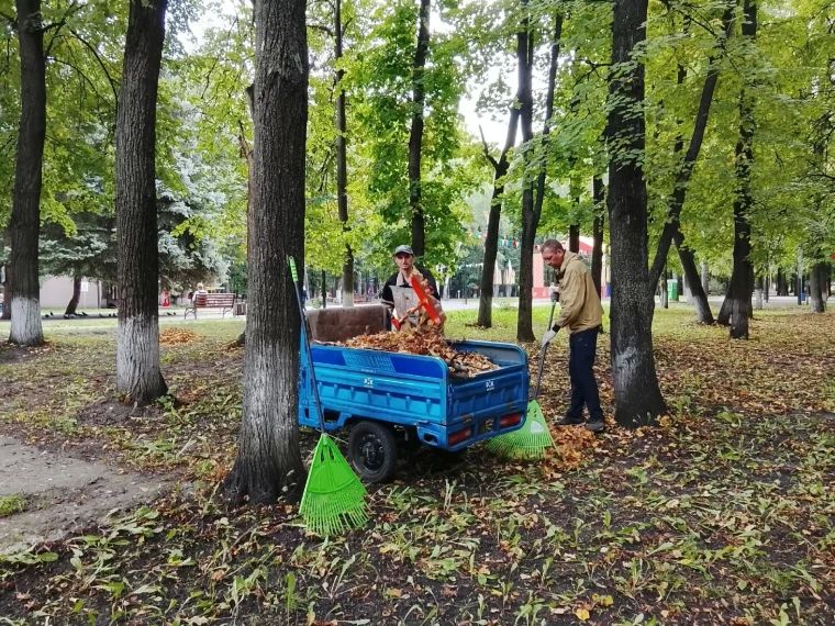В преддверии Дня города в Ульяновске пройдёт «санитарная пятница»