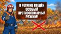 На территории Курской области действует особый противопожарный режим