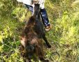 Спасатели Ульяновска в Заволжье достали козленка из подвала заброшенного дома