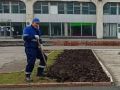 Ульяновские озеленители готовят клумбы к высадке луковиц тюльпанов