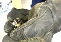 Летучая мышь в Ульяновске заставила понервничать сотрудников ПВЗ