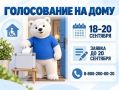 Выборы-2026: как проголосовать на дому, если нет возможности прийти на участок