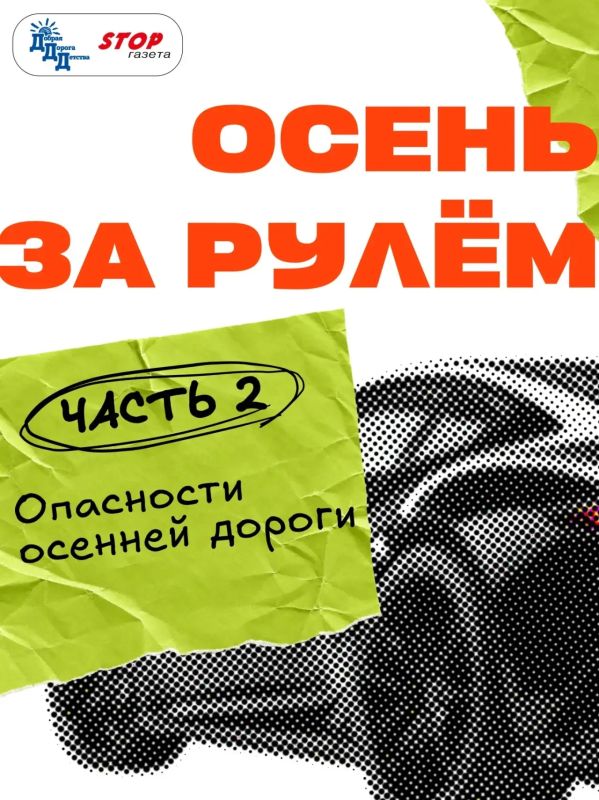 ОСЕНЬ ЗА РУЛЁМ: ОПАСНОСТИ ОСЕННЕЙ ДОРОГИ