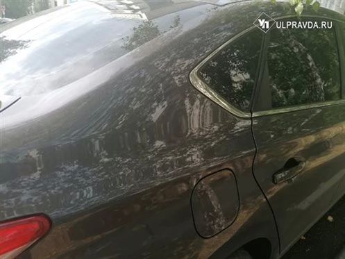 В области за выходные 79 водителей оштрафовали за нарушение правил тонировки