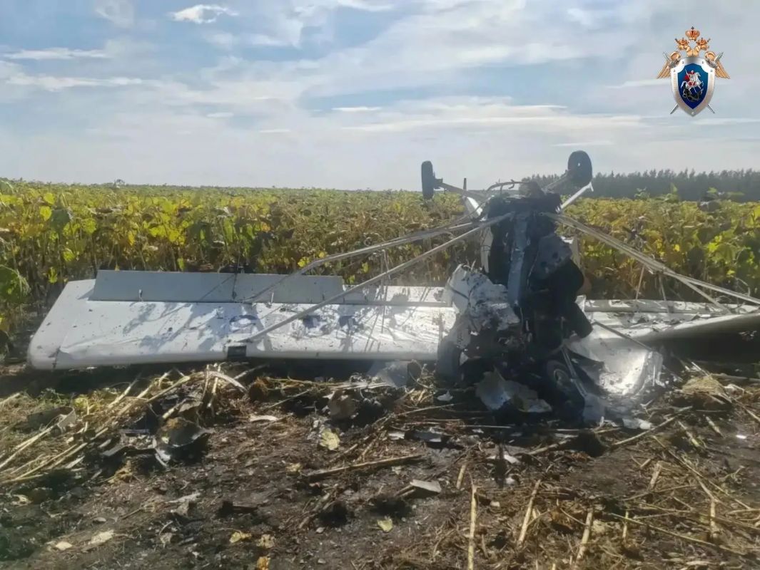 Следователи выложили фото и видео с места падения в Майнском районе Ульяновской области легкомоторного самолета Следователи выложили фото и видео с места падения в Майнском районе Ульяновской области легкомоторного самолета