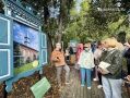 Деревянное кружево и секретные камни