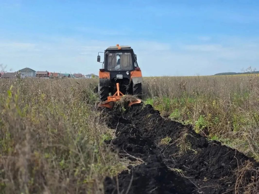 По указанию главы областного центра Александра Болдакина городские службы усилили эту работу в связи с сухой и тёплой погодой, располагающей к возникновению лесных и ландшафтных пожаров