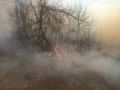 В Ульяновской области объявлена высокая пожарная опасность