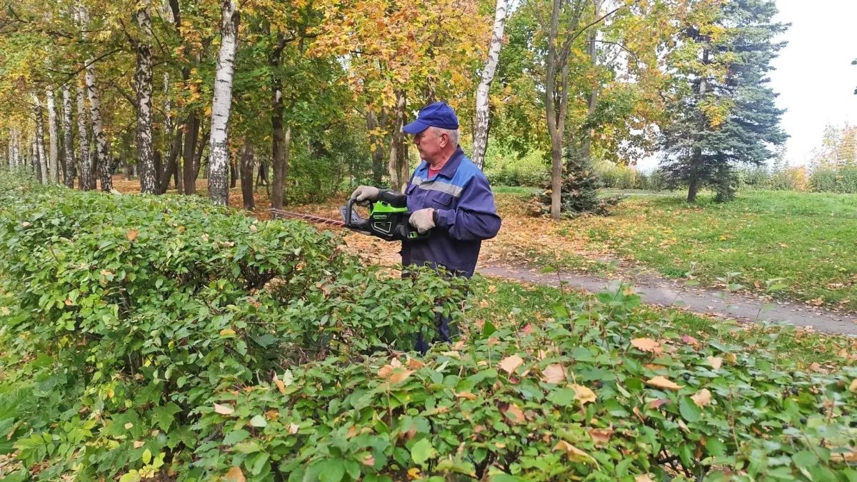 Городские озеленители навели красоту в сквере «Северный Венец»