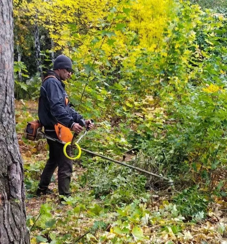 Городские озеленители навели красоту в сквере «Северный Венец» Городские озеленители навели красоту в сквере «Северный Венец»