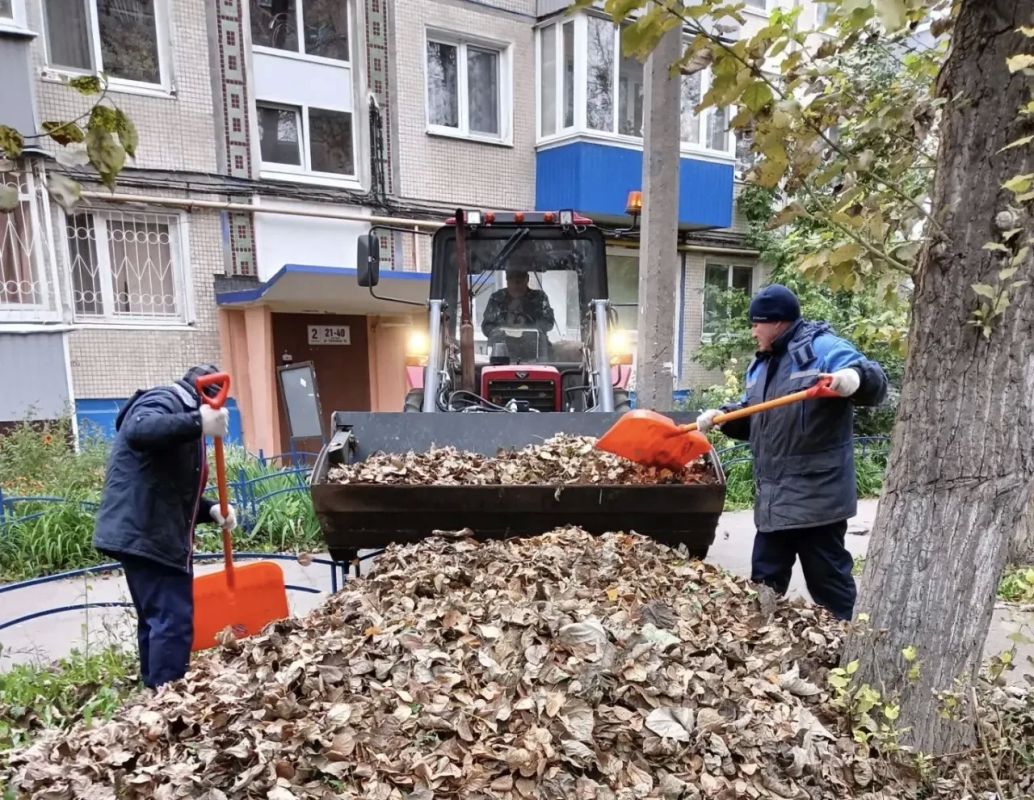 «Санитарная пятница» в Засвияжском районе: город становится чище благодаря вам! «Санитарная пятница» в Засвияжском районе: город становится чище благодаря вам!