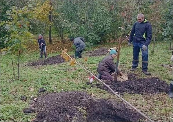 Ульяновские дорожники обновили асфальт на улице Минаева Ульяновские дорожники обновили асфальт на улице Минаева