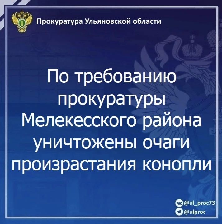 Прокуратура Мелекесского района Ульяновской области провела проверку исполнения законодательства о профилактике наркотизации населения