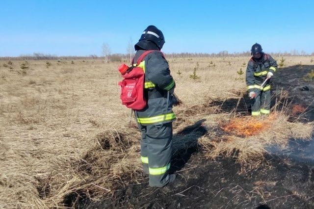В Ульяновской области сохраняется высокая пожарная опасность