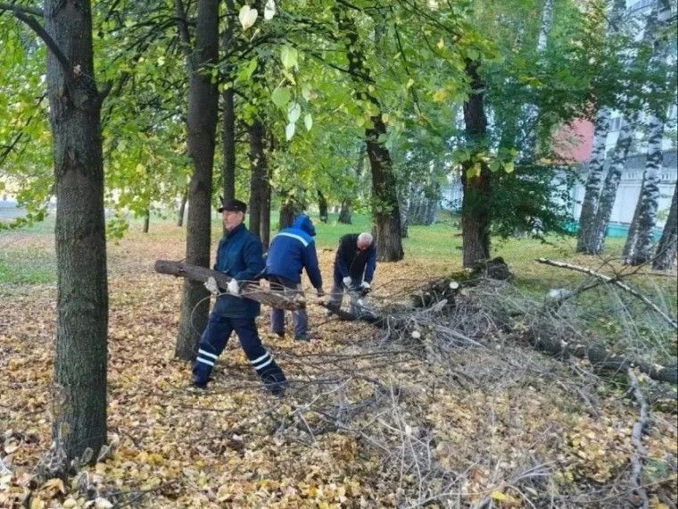 В ходе городской санитарной пятницы вывезли 360 кубометров мусора В ходе городской санитарной пятницы вывезли 360 кубометров мусора